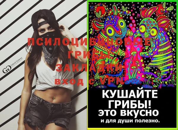 скорость Алзамай
