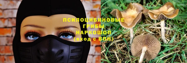 скорость Алзамай