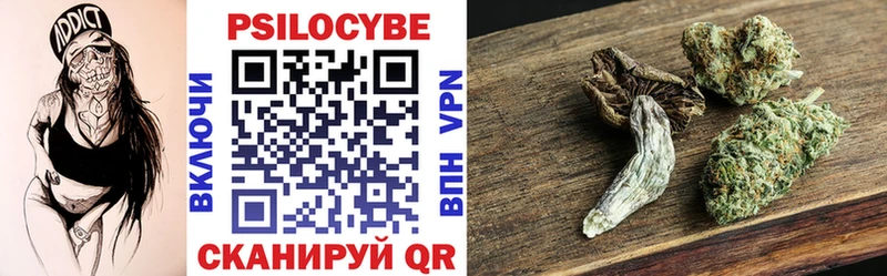 Псилоцибиновые грибы Psilocybine cubensis  Пугачёв 